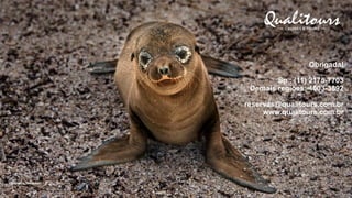 Obrigada!
Sp.: (11) 2175-7703
Demais regiões: 4003-3892
reservas@qualitours.com.br
www.qualitours.com.br
 