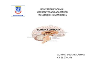 UNIVERSIDAD YACAMBÚ
VICERRECTORADO ACADÉMICO
FACULTAD DE HUMANIDADES
BIOLOGIA Y CONDUCTA
AUTORA: SUGEY ESCALONA
C.I. 15.070.168
 