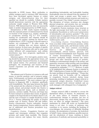detectable in FFPE tissues. Most antibodies to
cellular antigens used in veterinary IHC laboratories
have been developed against human or rodent
antigens, and characterization data for their
specified use should be available. Cellular markers
should demonstrate reactivity with the appropriate
molecular weight antigen in Western blots (WB);
however, WB immunoreactivity does not necessarily
imply or predict immunoreactivity in FFPE tissues.
Interpretation of IHC results requires familiarity
with the expected pattern of immunoreactivity based
on location of the antigen (e.g., nuclear, membrane,
or cytoplasmic staining; Fig. 3).76
For example,
staining for cytokeratins and vimentin should be
cytoplasmic, not nuclear; staining for thyroid tran-
scription factor 1 (TTF 1) in lung or thyroid tumors is
nuclear, not cytoplasmic.48,51
In other words, the
presence of staining does not always indicate a
positive reaction. In most cases, the degree of specific
staining should vary between cells and in some cases
within different cell compartments; such cellular
distribution may have prognostic significance in
certain tumors.33
Infectious agents.—For viral agents, positive stain-
ing should be detected in the appropriate tissues, cell
types, and cellular location (if known), in association
with typical lesions. For protozoal and bacterial
pathogens, the morphology and location of the
stained organisms can provide some additional
information.
Fixation
The ultimate goal of fixation is to preserve cells and
tissues, to prevent autolysis, and to preserve antige-
nicity. Unfortunately, no fixative can optimally fulfill
all these requirements.43
The most common type of
fixation in diagnostic IHC is chemical, specifically
with formaldehyde. The time lapse between the death
of the animal and the collection of tissues for IHC is
usually critical, and prompt transfer into fixative is
desired. Enzyme-rich tissues, such as intestine or
pancreas, autolyze rapidly. Protozoa and fungi may
be more resistant to autolysis than viruses. In general,
samples to be fixed should not be thicker than 0.5 cm,
and the ratio of fixative to sample should be at least
10 to 1. Factors influencing the quality of fixation
include type of fixative, fixative pH and buffers,
fixative concentration, fixative osmolality, fixation
time, fixation temperature, fixative additives, and the
use of additional post fixation procedures (e.g.,
decalcification).
Coagulative fixation. Coagulative fixatives are
organic and nonorganic solutions that coagulate
proteins and render them insoluble. The fixation
process removes and replaces free water, thereby
destabilizing hydrophobic and hydrophilic bonding
(hydrophobic areas are released from the repulsion of
water, and occupy a greater area). This causes a
disruption of tertiary protein structure and results in a
partially reversed (‘‘less folded’’) protein structure.43
The disruption of tertiary structures also changes
physical properties, and proteins that are normally
soluble in aqueous solution become insoluble.
Coagulative fixation maintains tissue structure at
the light microscopic level fairly well, but results in
cytoplasmic flocculation as well as poor preservation
of mitochondria and secretory granules.43
The most
common types of coagulative fixatives are dehydrants
(alcohols and acetone) and strong acids (picric acid,
trichloroacetic acid).
Cross-linking fixation. Cross-linking fixatives
form cross-links within and between proteins, within
and between nucleic acids, and between nucleic acids
and proteins. The most common cross-linking
fixatives are aldehydes (formaldehyde,
glutaraldehyde, chloral hydrate, glyoxal), with
neutral buffered formaldehyde most frequently used
in routine histopathology. Formalin fixation
produces methylene bridges between free amino
groups and other functional groups of proteins,
resulting in conformational changes in the tertiary and
quaternary structures within proteins and cross-linking
between tissue proteins, thus modifying the epitopes
recognized by antibodies.3,15,21,22,43,71
However, it needs
to be emphasized that adequate fixation is essential in
IHC. Underfixation of tissues for IHC testing is one of
the major problems in human pathology.15
Tissues that
are poorly fixed in formalin will be subjected
to coagulative fixation (alcohol) during tissue
processing, resulting in inadequate antigen retrieval or
unexpected antigen detection. Underfixed tissues
cannot withstand harsh retrieval methods and are
easily damaged, with subsequent loss of antigenicity.54
Antigen retrieval
Antigen retrieval (AR) is intended to reverse the
detrimental effects of fixation. As mentioned, one
of the main effects of formalin fixation is
conformational changes in epitopes, but loss of
electrostatic charges may occur during fixation and
have an effect on antigen detection.16
The exact
mechanism by which AR works on formalin-fixed
tissues is not clear. A variety of pathways may
contribute to its success, including the breaking of
cross-linkages, the extraction of diffusible blocking
proteins, the precipitation of proteins, the hydrolysis
of Schiff’s bases, calcium chelation, paraffin removal,
and the rehydration of tissue, resulting in better
penetration of antibody and increased accessibility to
396 Ramos-Vara et al.
 