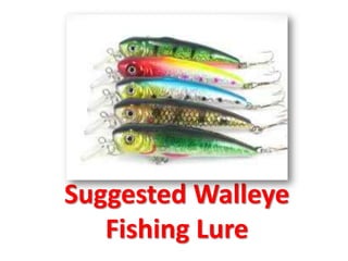 Suggested Walleye Fishing Lure 