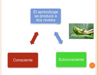 El aprendizaje
se produce a
dos niveles

Consciente

Subconsciente

 