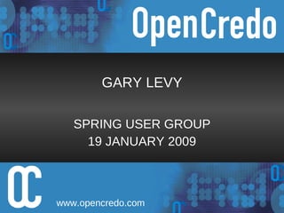 GARY LEVY SPRING USER GROUP 19 JANUARY 2009 