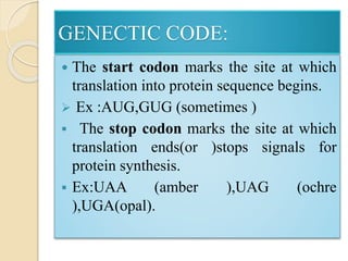 Stop Code Uaa Suguna | PPTX