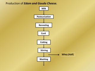 Production of Edam and Gouda Cheese. 
Milk 
Pasteurization 
Renneting 
Curd 
Cutting 
Stirring 
Washing 
Whey (Half) 
 