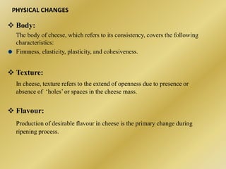 PHYSICAL CHANGES 
 Body: 
The body of cheese, which refers to its consistency, covers the following 
characteristics: 
Firmness, elasticity, plasticity, and cohesiveness. 
 Texture: 
In cheese, texture refers to the extend of openness due to presence or 
absence of ‘holes’ or spaces in the cheese mass. 
 Flavour: 
Production of desirable flavour in cheese is the primary change during 
ripening process. 
 