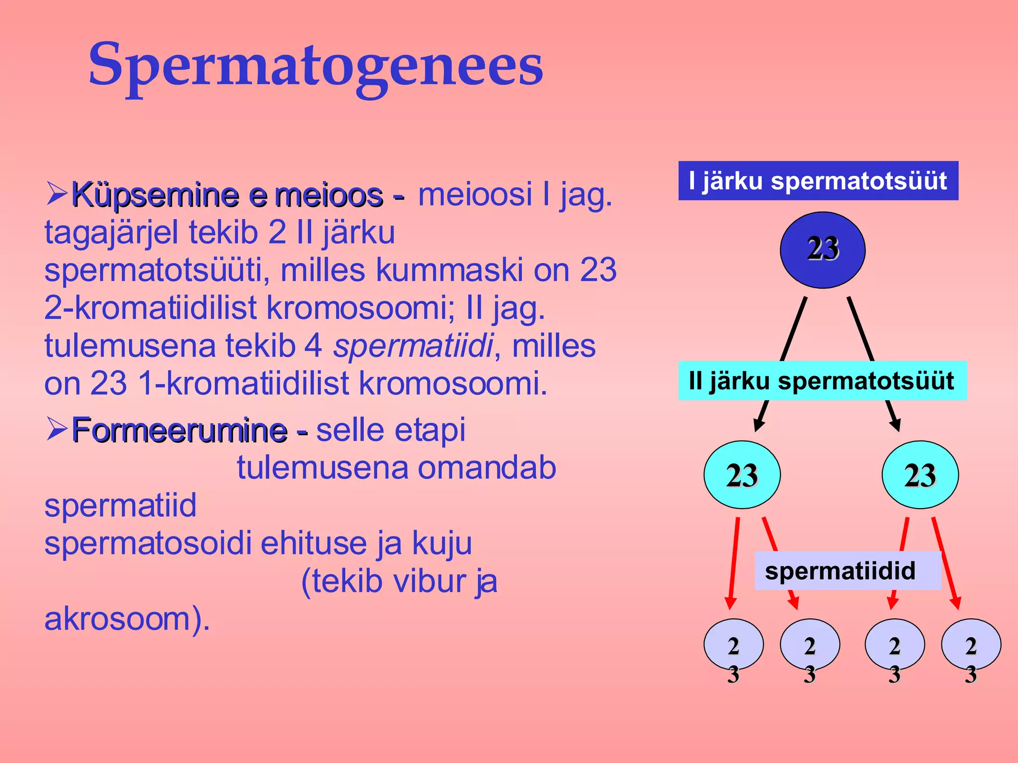 Natalya Kosteneva soxta porno