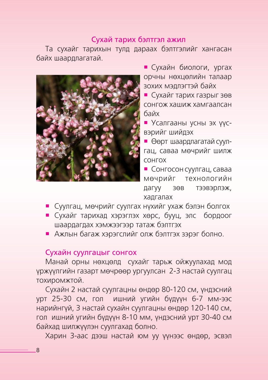 Сухай тарьж ургуулах гарын авлага
