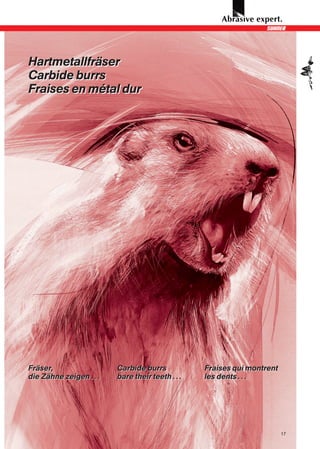 Hartmetallfräser
Carbide burrs
Fraises en métal dur




Fräser,                  Carbide burrs            Fraises qui montrent
die Zähne zeigen . . .   bare their teeth . . .   les dents . . .




                                                                         17
 