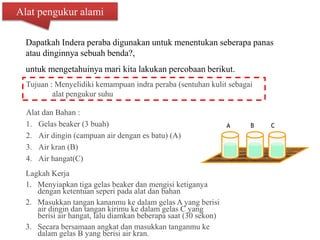 Alat pengukur alami
Dapatkah Indera peraba digunakan untuk menentukan seberapa panas
atau dinginnya sebuah benda?,
untuk mengetahuinya mari kita lakukan percobaan berikut.
Tujuan : Menyelidiki kemampuan indra peraba (sentuhan kulit sebagai
alat pengukur suhu
Alat dan Bahan :
1. Gelas beaker (3 buah)
2. Air dingin (campuan air dengan es batu) (A)
3. Air kran (B)
4. Air hangat(C)
Lagkah Kerja
1. Menyiapkan tiga gelas beaker dan mengisi ketiganya
dengan ketentuan seperi pada alat dan bahan
2. Masukkan tangan kananmu ke dalam gelas A yang berisi
air dingin dan tangan kirimu ke dalam gelas C yang
berisi air hangat, lalu diamkan beberapa saat (30 sekon)
3. Secara bersamaan angkat dan masukkan tanganmu ke
dalam gelas B yang berisi air kran.
A B C
 