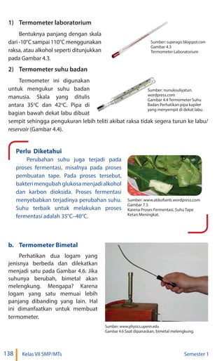 138 Kelas VII SMP/MTs Semester 1
1) Termometer laboratorium
Bentuknya panjang dengan skala
dari-10°Csampai110°Cmenggunakan
raksa, atau alkohol seperti ditunjukkan
pada Gambar 4.3.
2) Termometer suhu badan
Termometer ini digunakan
untuk mengukur suhu badan
manusia. Skala yang ditulis
antara 35o
C dan 42o
C. Pipa di
bagian bawah dekat labu dibuat
sempit sehingga pengukuran lebih teliti akibat raksa tidak segera turun ke labu/
reservoir (Gambar 4.4).
Perlu Diketahui
Perubahan suhu juga terjadi pada
proses fermentasi, misalnya pada proses
pembuatan tape. Pada proses tersebut,
bakterimengubahglukosamenjadialkohol
dan karbon dioksida. Proses fermentasi
menyebabkan terjadinya perubahan suhu.
Suhu terbaik untuk melakukan proses
fermentasi adalah 35°C–40°C.
Sumber: www.atikofianti.wordpress.com
Gambar 7.5
Karena Proses Fermentasi, Suhu Tape
Ketan Meningkat.
b. Termometer Bimetal
Perhatikan dua logam yang
jenisnya berbeda dan dilekatkan
menjadi satu pada Gambar 4.6. Jika
suhunya berubah, bimetal akan
melengkung. Mengapa? Karena
logam yang satu memuai lebih
panjang dibanding yang lain. Hal
ini dimanfaatkan untuk membuat
termometer.
Sumber:
Gambar 4.3
Termometer Laboratorium
Sumber: nunuksuliyatun.
wordpress.com
Gambar 4.4 Termometer Suhu
Badan Perhatikan pipa kapiler
yang menyempit di dekat labu.
Sumber: www.physics.upenn.edu
Gambar 4.6 Saat dipanaskan, bimetal melengkung.
superagis blogspot.com
 