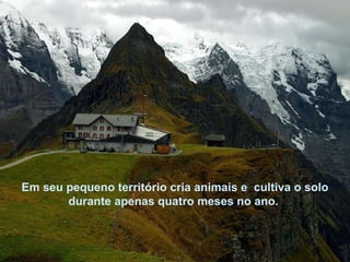 Em seu pequeno território cria animais e  cultiva o solo durante apenas quatro meses no ano.  