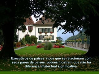 Executivos de países  ricos que se relacionam com seus pares de países  pobres mostram que não há diferença intelectual significativa. 