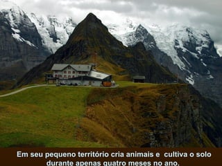 Em seu pequeno território cria animais e  cultiva o solo durante apenas quatro meses no ano.  