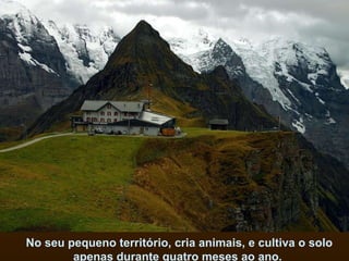 No seu pequeno território, cria animais, e cultiva o solo apenas durante quatro meses ao ano.  