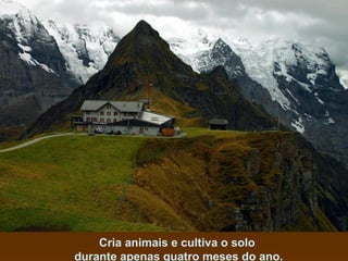 Cria animais e cultiva o solo
durante apenas quatro meses do ano.

 