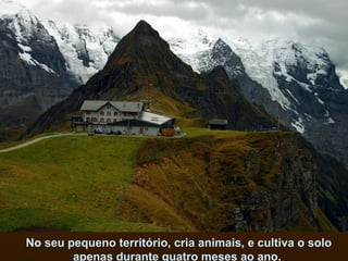 No seu pequeno território, cria animais, e cultiva o solo
        apenas durante quatro meses ao ano.
 