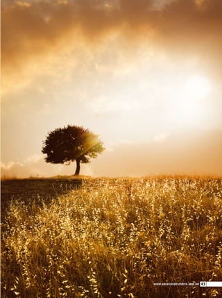 www.universoespirita.com.br 43
 