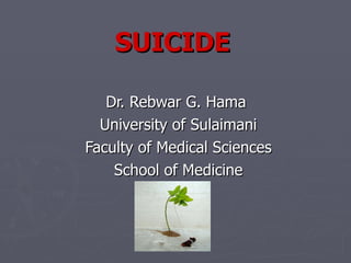 SUICIDE Dr. Rebwar G. Hama  University of Sulaimani Faculty of Medical Sciences School of Medicine 