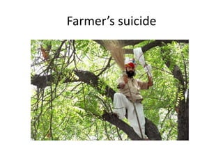 Farmer’s suicide
 
