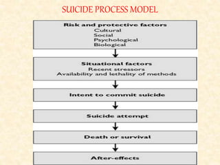 SUICIDE PROCESS MODEL
 