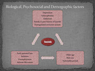 Depression
Schizophrenia
Addiction
Family or past history of suicide
Dysregulated serotonin system
Older age
Male sex
Vulnerable period
Early parental loss
Isolation
Unemployment
Adverse life events
 