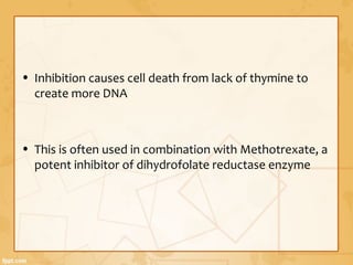 • Inhibition causes cell death from lack of thymine to
create more DNA
• This is often used in combination with Methotrexate, a
potent inhibitor of dihydrofolate reductase enzyme
 
