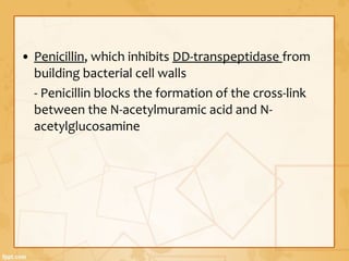 • Penicillin, which inhibits DD-transpeptidase from
building bacterial cell walls
- Penicillin blocks the formation of the cross-link
between the N-acetylmuramic acid and N-
acetylglucosamine
 