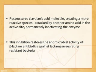 • Restructures clavulanic acid molecule, creating a more
reactive species - attacked by another amino acid in the
active site, permanently inactivating the enzyme
• This inhibition restores the antimicrobial activity of
β-lactam antibiotics against lactamase-secreting
resistant bacteria
 