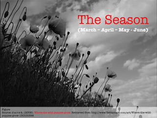 The Season!(March – April – May - June)
Figure
Source: d-a-r-e-k. (2009). Where the wild poppies grow. Retrieved from http://www.deviantart.com/art/Where-the-wild-
poppies-grow-130100398
 