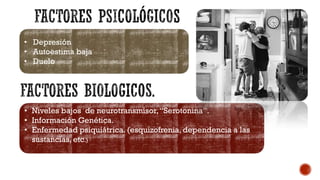• Depresión
• Autoestima baja
• Duelo
• Niveles bajos de neurotransmisor,“Serotonina”.
• Información Genética.
• Enfermedad psiquiátrica. (esquizofrenia, dependencia a las
sustancias, etc.)
 