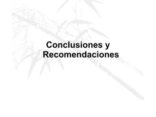 Conclusiones y Recomendaciones 