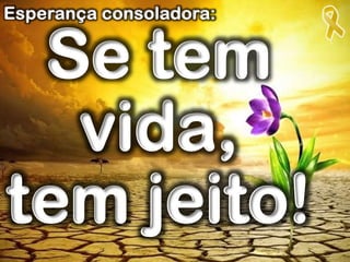 Se tem
vida,
tem jeito!
Esperança consoladora:
 