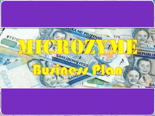Microzyme Business Plan 