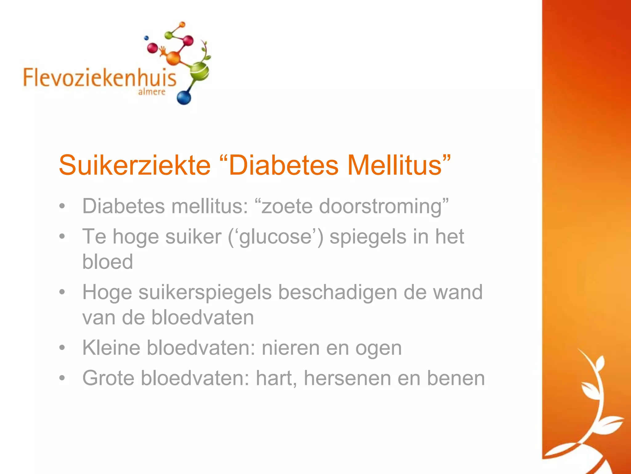 Suikerziekte en cholesterol | PDF