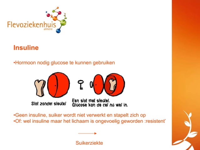 Suikerziekte en cholesterol | PDF
