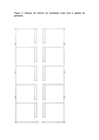 Figura 1: Esboço do interior da instalação onde será o galpão de
gestação.
 