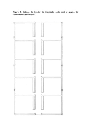 Figura 3: Esboço do interior da instalação onde será o galpão de
Crescimento/terminação.
 