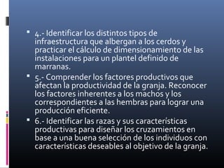  4.- Identificar los distintos tipos de
infraestructura que albergan a los cerdos y
practicar el cálculo de dimensionamiento de las
instalaciones para un plantel definido de
marranas.
 5.- Comprender los factores productivos que
afectan la productividad de la granja. Reconocer
los factores inherentes a los machos y los
correspondientes a las hembras para lograr una
producción eficiente.
 6.- Identificar las razas y sus características
productivas para diseñar los cruzamientos en
base a una buena selección de los individuos con
características deseables al objetivo de la granja.
 
