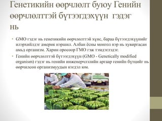 Suirliin uruud | PPT