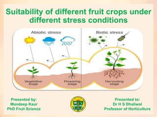 Suitability of different fruit crops under
different stress conditions
Presented by:
Mandeep Kaur
PhD Fruit Science
Presented to:
Dr H S Dhaliwal
Professor of Horticulture
 