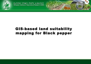 GIS-based land suitability
mapping for Black pepper
 