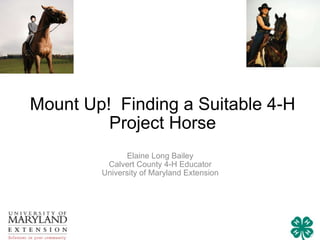 Mount Up!  Finding a Suitable 4-H Project Horse Elaine Long Bailey Calvert County 4-H Educator University of Maryland Extension 