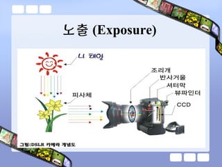 노출 (Exposure)
 