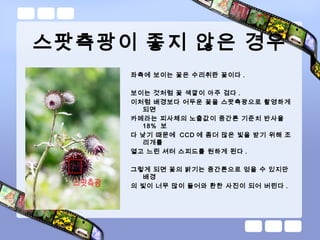 스팟측광이 좋지 않은 경우
좌측에 보이는 꽃은 수리취란 꽃이다 .
보이는 것처럼 꽃 색깔이 아주 검다 .
이처럼 배경보다 어두운 꽃을 스팟측광으로 촬영하게
되면
카메라는 피사체의 노출값이 중간톤 기준치 반사율
18% 보
다 낮기 때문에 CCD 에 좀더 많은 빛을 받기 위해 조
리개를
열고 느린 셔터 스피드를 원하게 된다 .
그렇게 되면 꽃의 밝기는 중간톤으로 얻을 수 있지만
배경
의 빛이 너무 많이 들어와 환한 사진이 되어 버린다 .
 