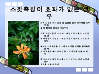 스팟측광이 효과가 없는 경
우
좌측 사진은 비가 오는 날 일정한 빛이 피사체를 비추
고 있
을 때 촬영한 말나리 사진이다 .
좌측 사진처럼 주 피사체나 배경의 반사율이 거의 같
을 경
우 측광방식이 변한다 해도 사진의 변화는 거의 없게
된다 .
꽃에만 스팟측광을 한다거나 프레임 전체를 멀티측광
을 해
도 결과물은 둘다 비슷한 밝기의 사진을 얻을 수 있
다 .
즉 피사체와 배경의 노출차가 거의 없는 경우 스팟측
광의
효과를 얻을 수 없다 .
 