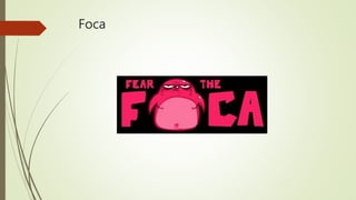Foca
 