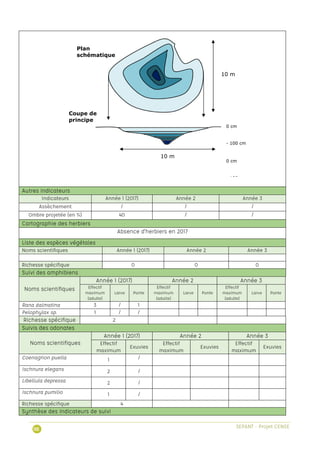 0 cm
- 100 cm
0 cm
- 100 cm
10 m
10 m
Coupe de
principe
Plan
schématique
 