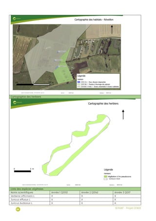 Contours mare
Contours mare
 