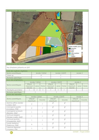 / /
/ /
/ /
/ /
/ /
/ /
/ /
 