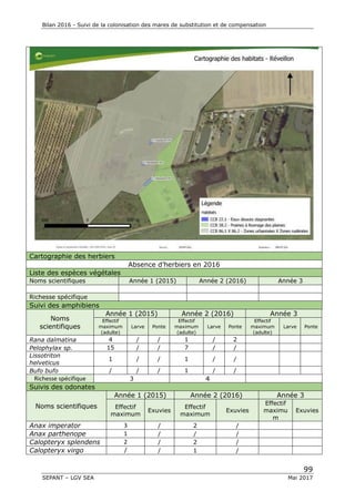 Bilan 2016 - Suivi de la colonisation des mares de substitution et de compensation
99
SEPANT – LGV SEA Mai 2017
Cartographie des herbiers
Absence d’herbiers en 2016
Liste des espèces végétales
Noms scientifiques Année 1 (2015) Année 2 (2016) Année 3
Richesse spécifique
Suivi des amphibiens
Noms
scientifiques
Année 1 (2015) Année 2 (2016) Année 3
Effectif
maximum
(adulte)
Larve Ponte
Effectif
maximum
(adulte)
Larve Ponte
Effectif
maximum
(adulte)
Larve Ponte
Rana dalmatina 4 / / 1 / 2
Pelophylax sp. 15 / / 7 / /
Lissotriton
helveticus
1 / / 1 / /
Bufo bufo / / / 1 / /
Richesse spécifique 3 4
Suivis des odonates
Noms scientifiques
Année 1 (2015) Année 2 (2016) Année 3
Effectif
maximum
Exuvies
Effectif
maximum
Exuvies
Effectif
maximu
m
Exuvies
Anax imperator 3 / 2 /
Anax parthenope 1 / / /
Calopteryx splendens 2 / 2 /
Calopteryx virgo / / 1 /
 